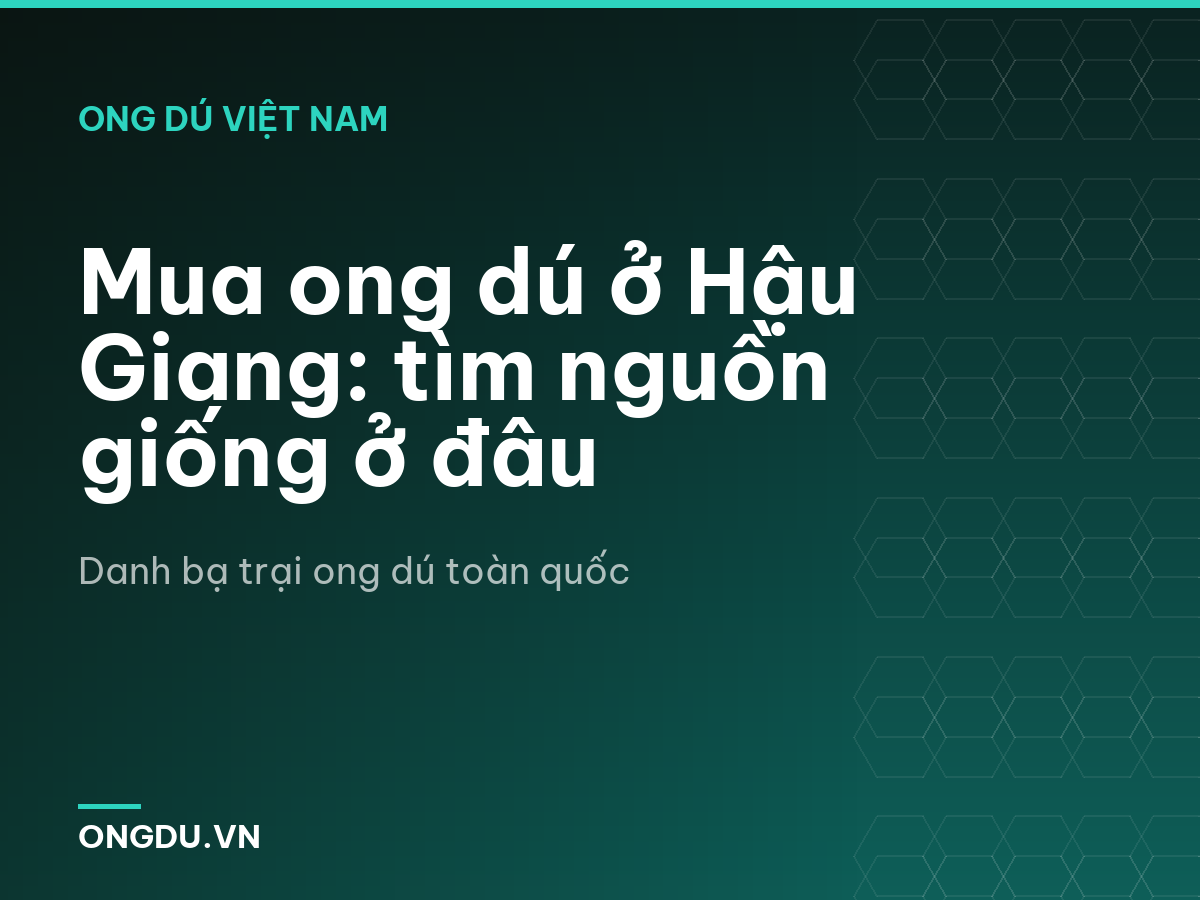 Mua ong dú ở Hậu Giang: tìm nguồn giống ở đâu