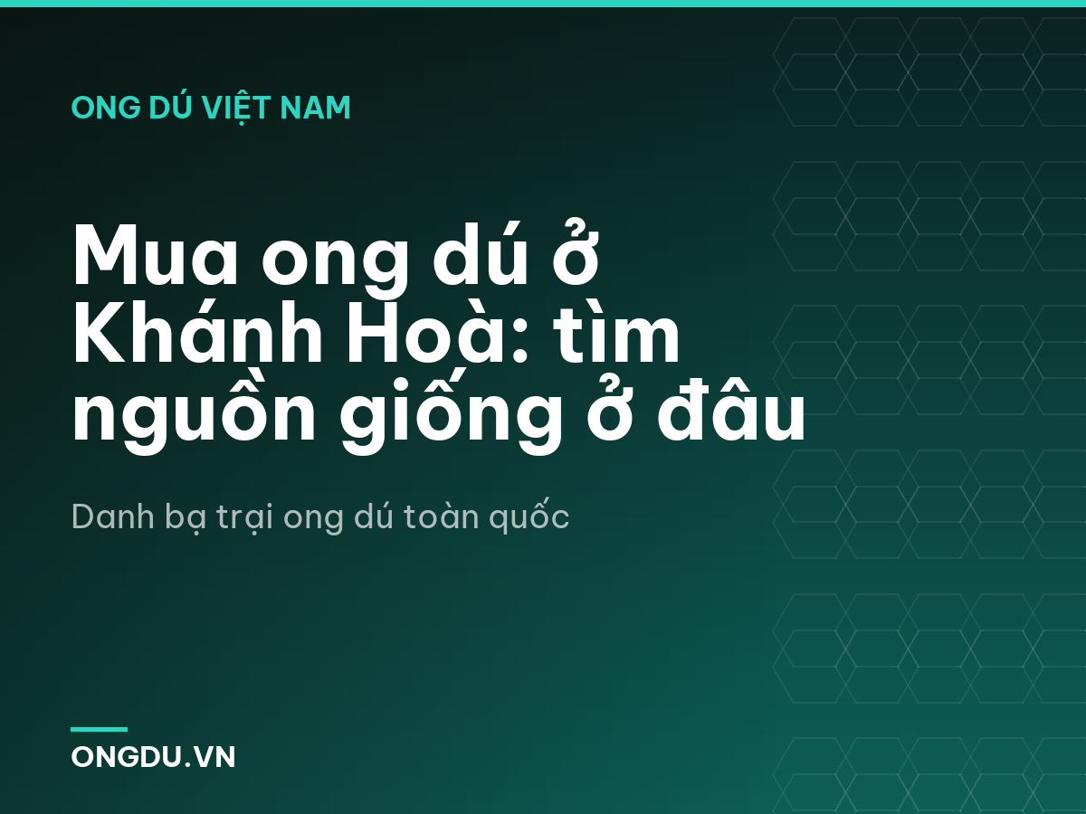 Mua ong dú ở Khánh Hoà: tìm nguồn giống ở đâu