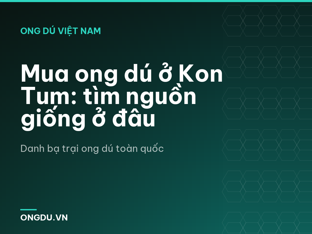Mua ong dú ở Kon Tum: tìm nguồn giống ở đâu