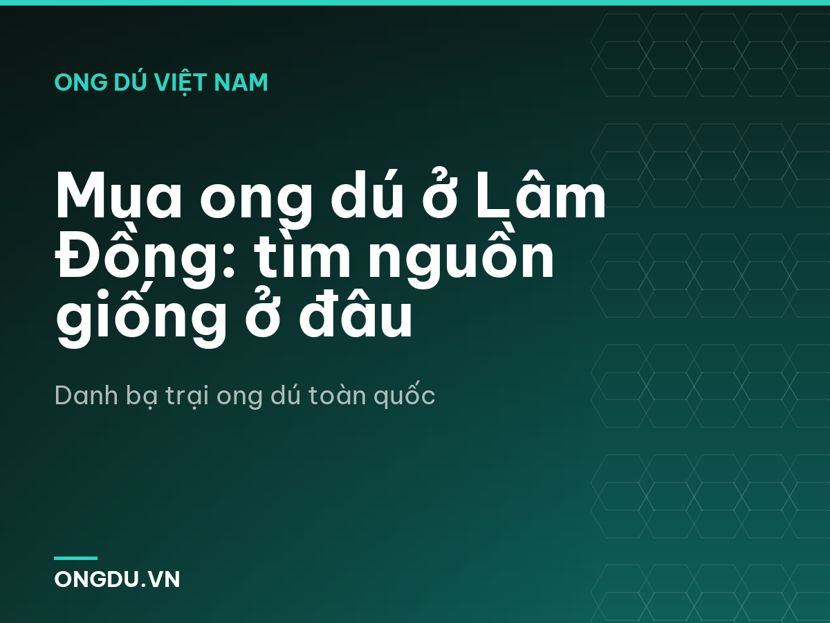 Mua ong dú ở Lâm Đồng: tìm nguồn giống ở đâu