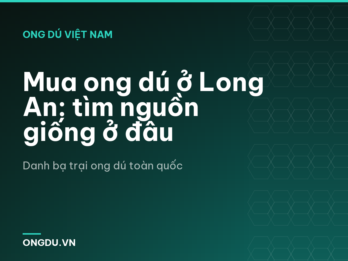 Mua ong dú ở Long An: tìm nguồn giống ở đâu