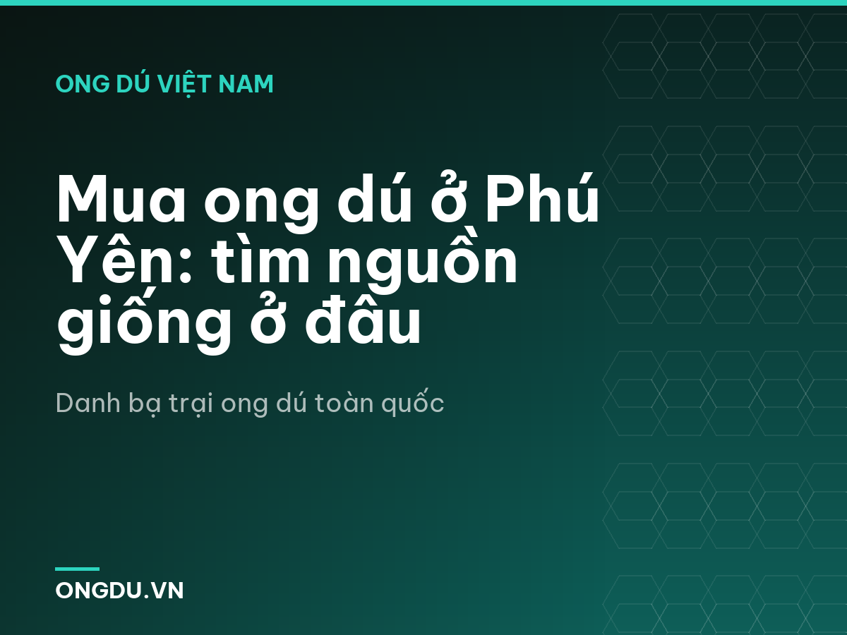 Mua ong dú ở Phú Yên: tìm nguồn giống ở đâu