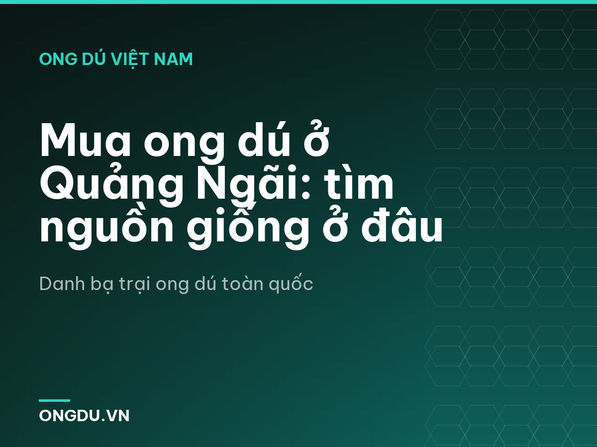 Mua ong dú ở Quảng Ngãi: tìm nguồn giống ở đâu