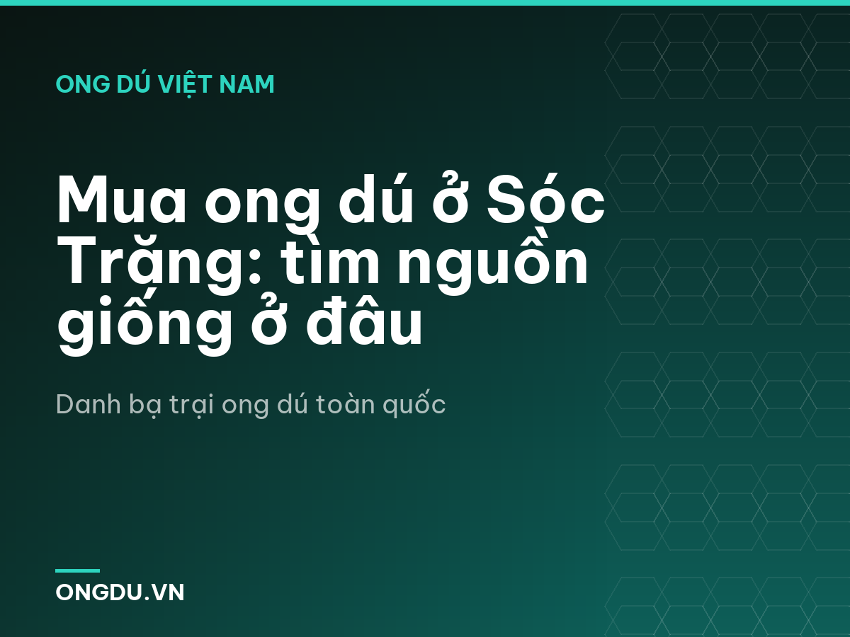 Mua ong dú ở Sóc Trăng: tìm nguồn giống ở đâu