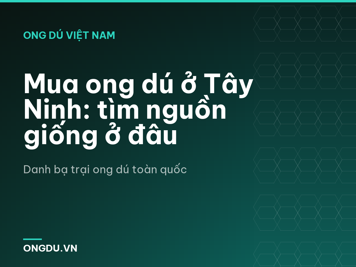 Mua ong dú ở Tây Ninh: tìm nguồn giống ở đâu