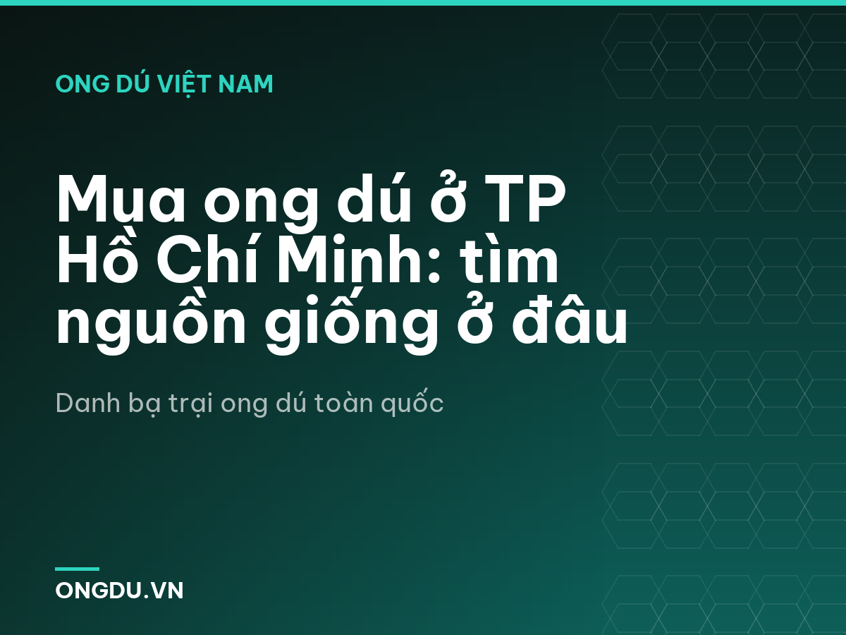 Mua ong dú ở TP Hồ Chí Minh: tìm nguồn giống ở đâu