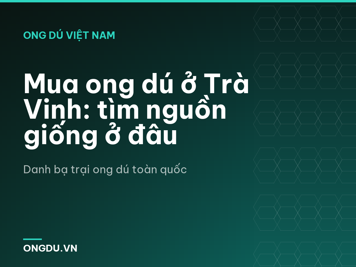Mua ong dú ở Trà Vinh: tìm nguồn giống ở đâu