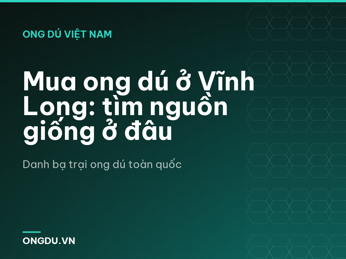 Mua ong dú ở Vĩnh Long: tìm nguồn giống ở đâu