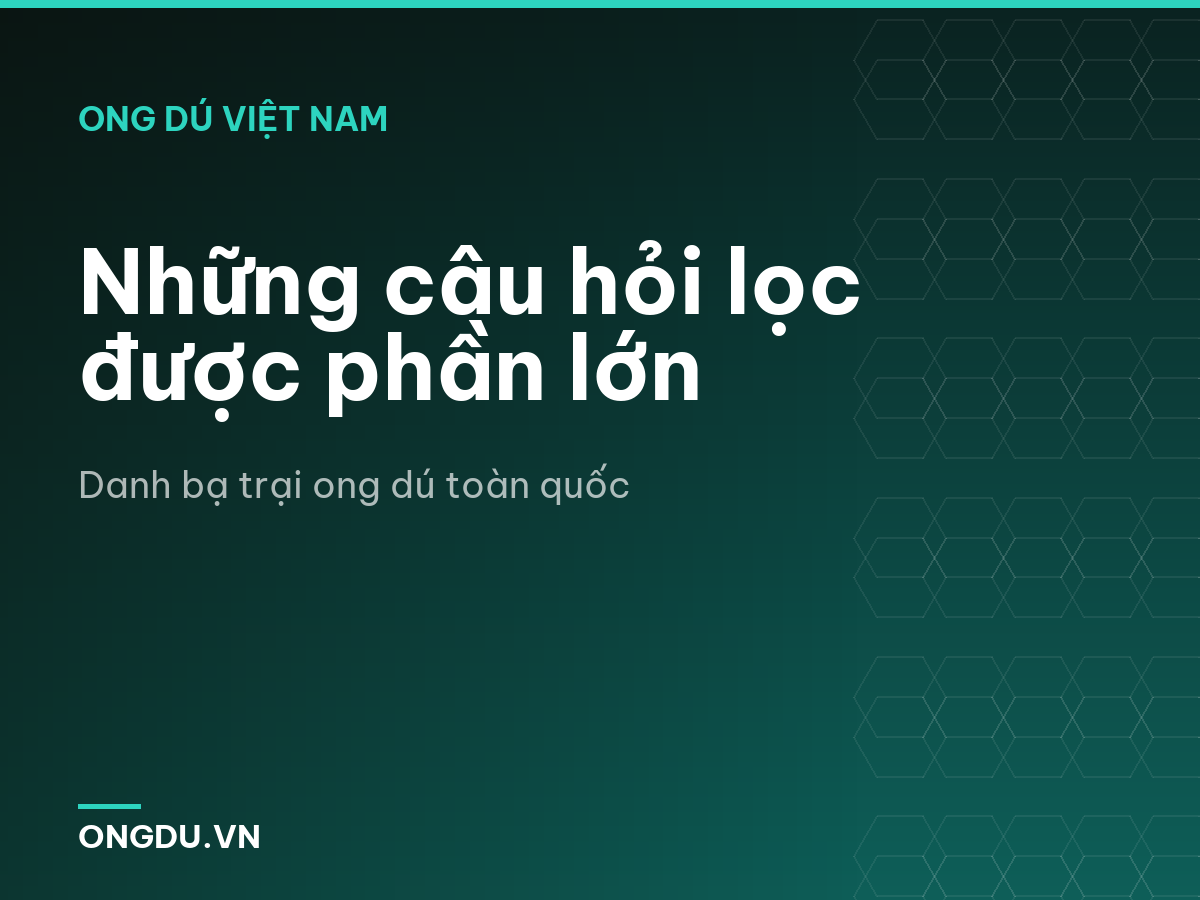 Những câu hỏi lọc được phần lớn
