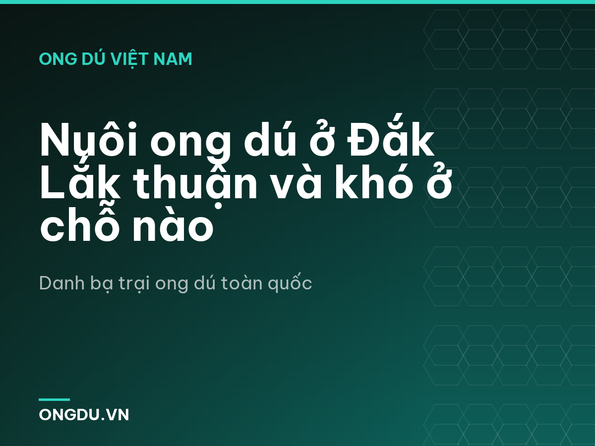 Nuôi ong dú ở Đắk Lắk thuận và khó ở chỗ nào