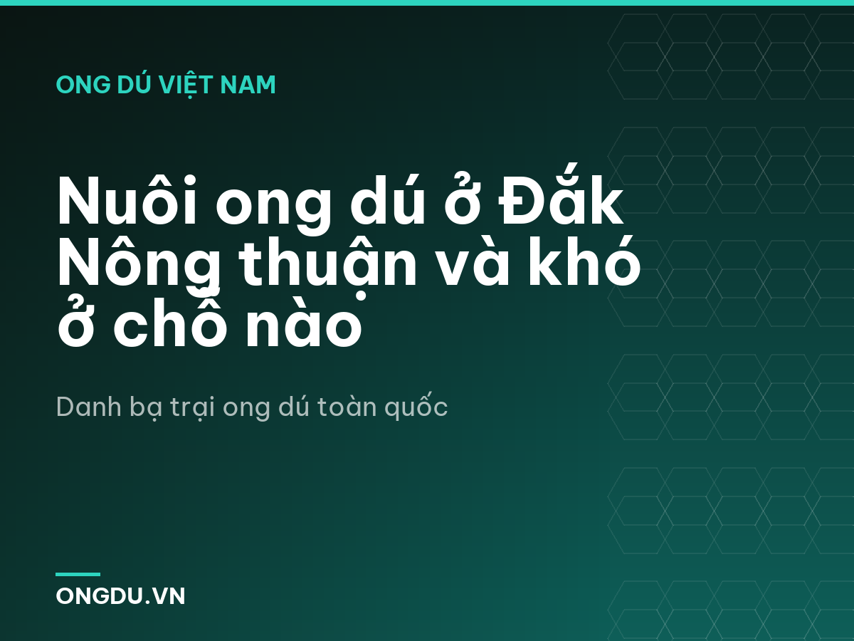 Nuôi ong dú ở Đắk Nông thuận và khó ở chỗ nào