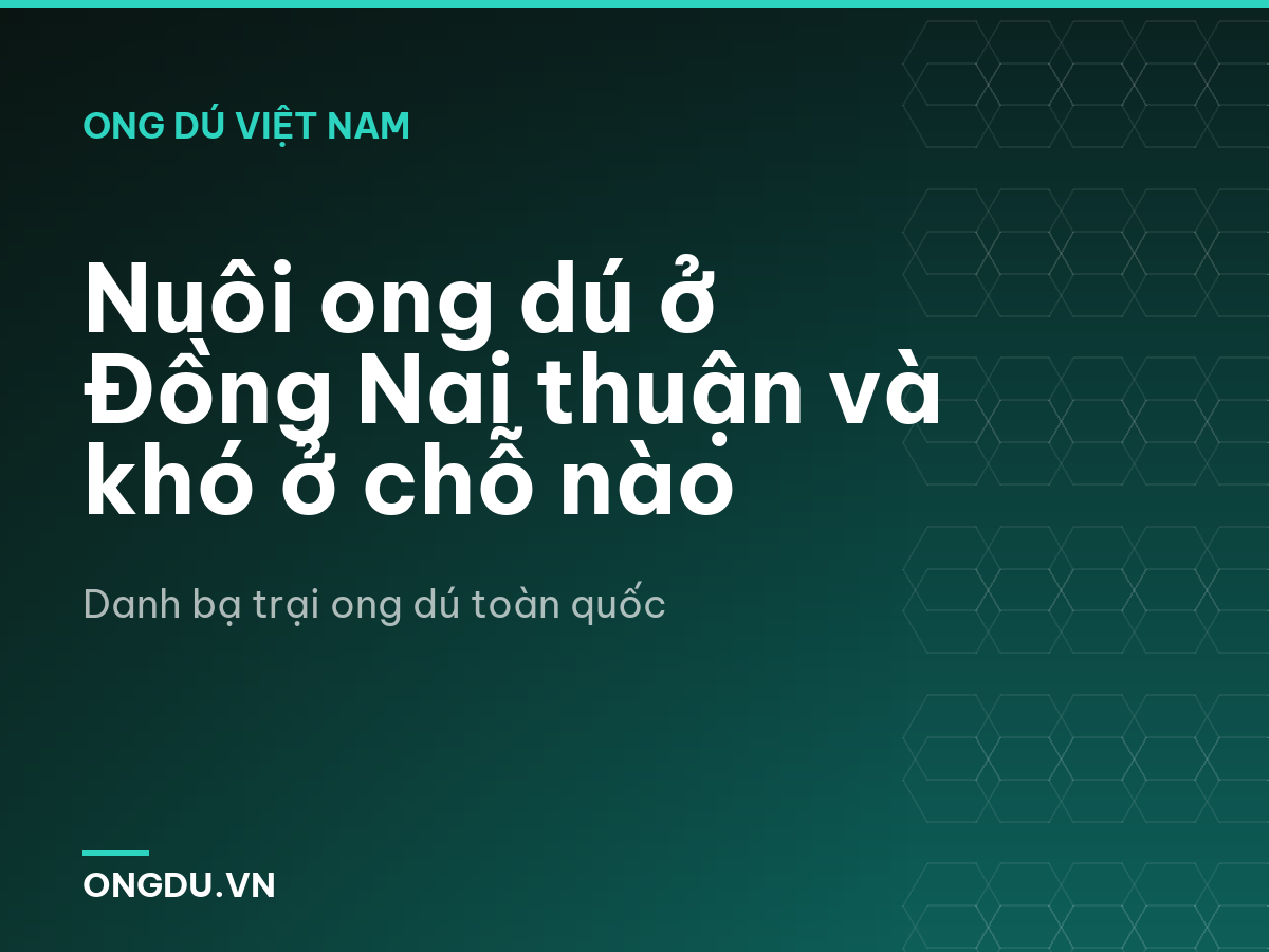 Nuôi ong dú ở Đồng Nai thuận và khó ở chỗ nào