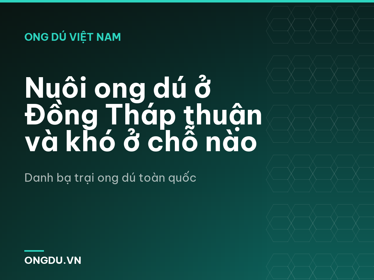 Nuôi ong dú ở Đồng Tháp thuận và khó ở chỗ nào