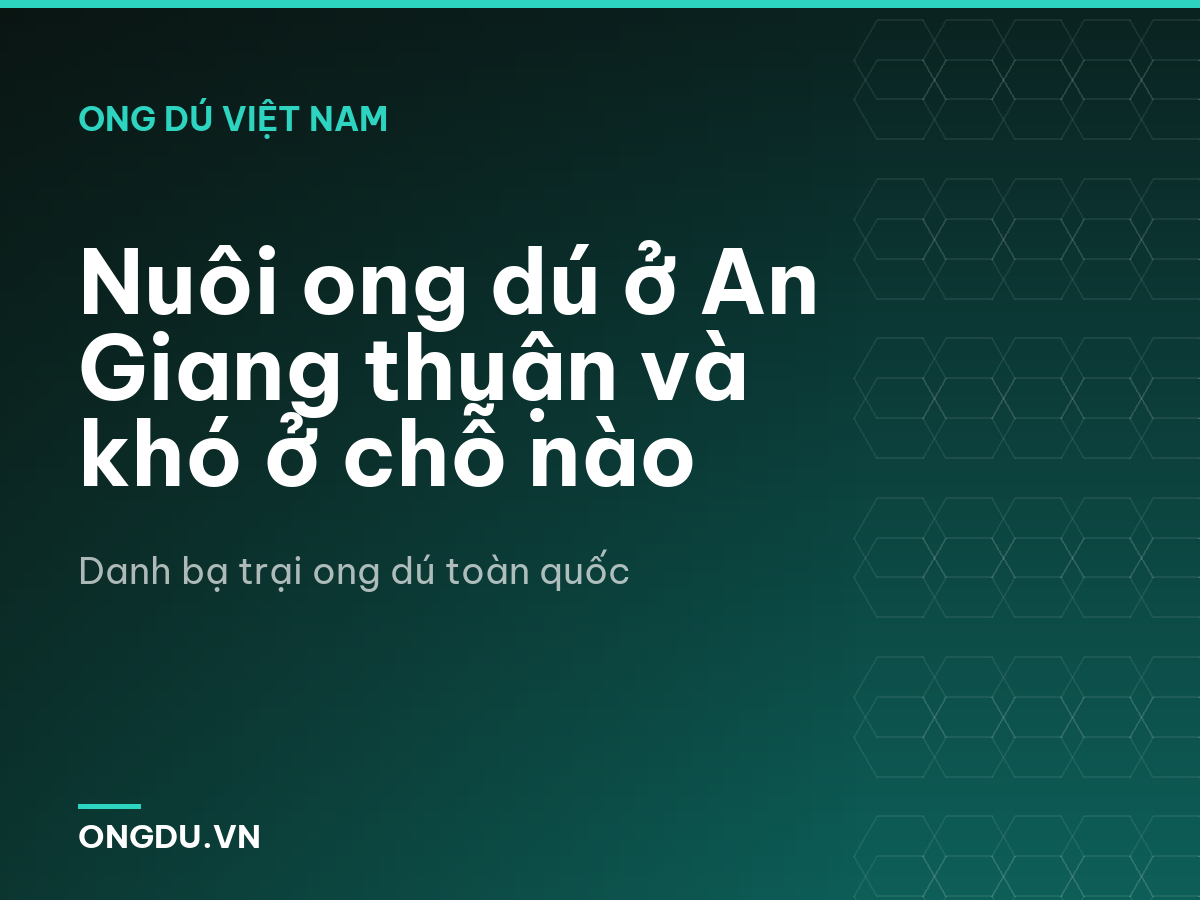 Nuôi ong dú ở An Giang thuận và khó ở chỗ nào