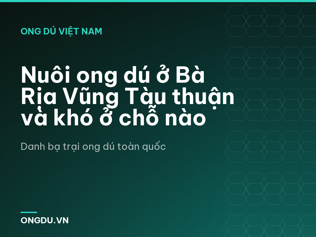 Nuôi ong dú ở Bà Rịa Vũng Tàu thuận và khó ở chỗ nào