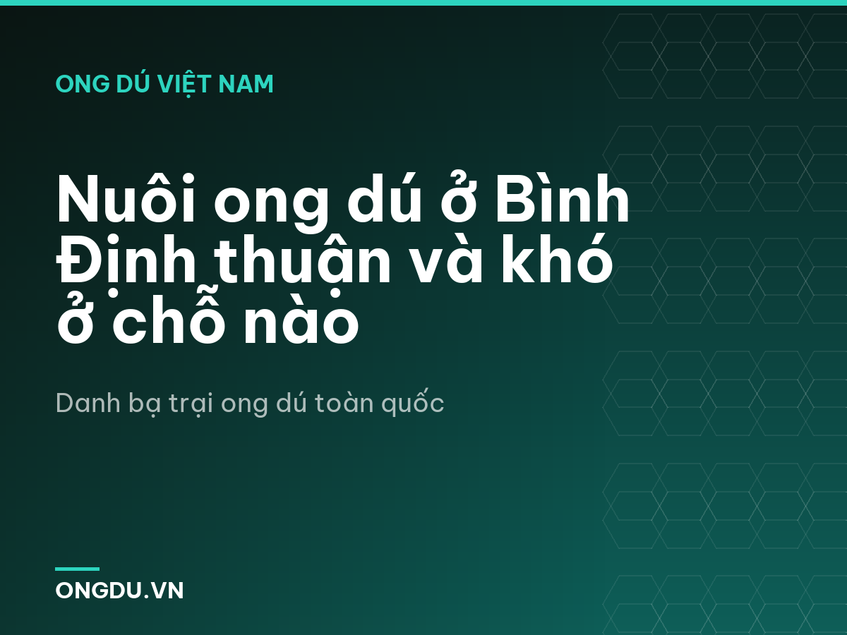 Nuôi ong dú ở Bình Định thuận và khó ở chỗ nào
