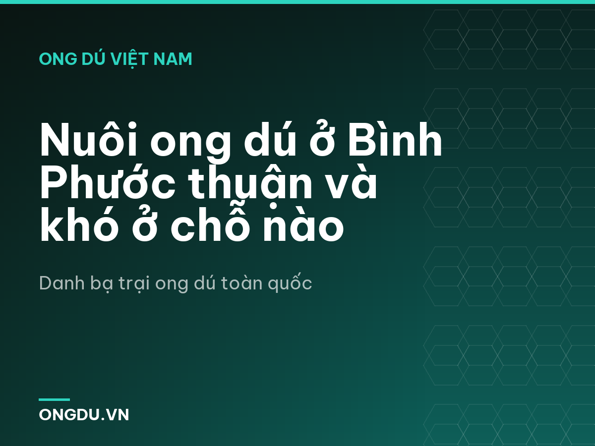 Nuôi ong dú ở Bình Phước thuận và khó ở chỗ nào
