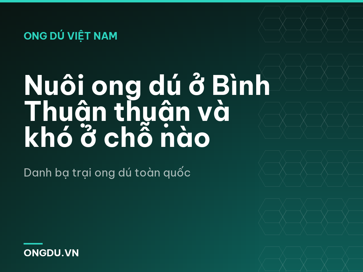 Nuôi ong dú ở Bình Thuận thuận và khó ở chỗ nào