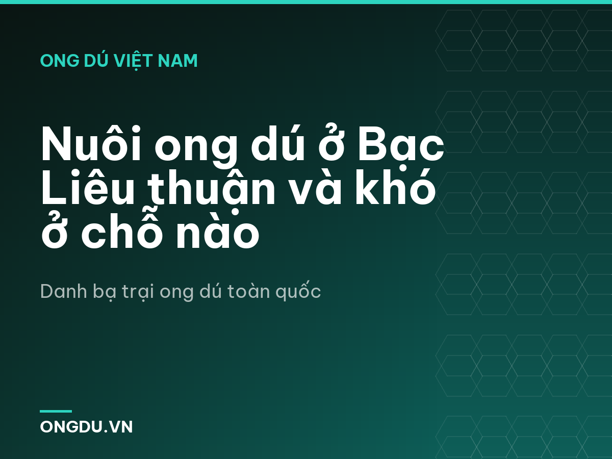 Nuôi ong dú ở Bạc Liêu thuận và khó ở chỗ nào