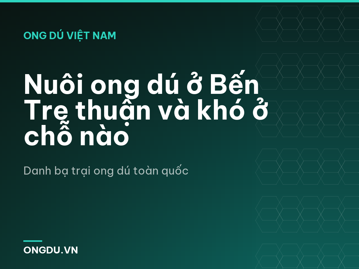 Nuôi ong dú ở Bến Tre thuận và khó ở chỗ nào