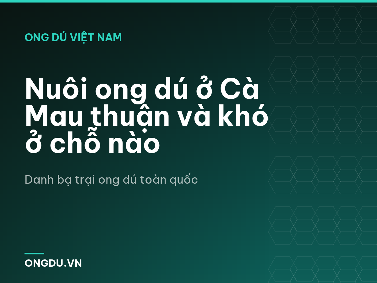 Nuôi ong dú ở Cà Mau thuận và khó ở chỗ nào