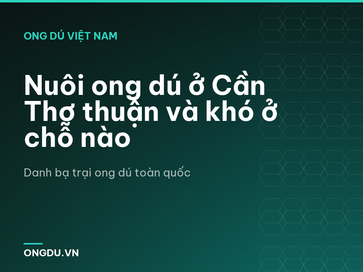 Nuôi ong dú ở Cần Thơ thuận và khó ở chỗ nào