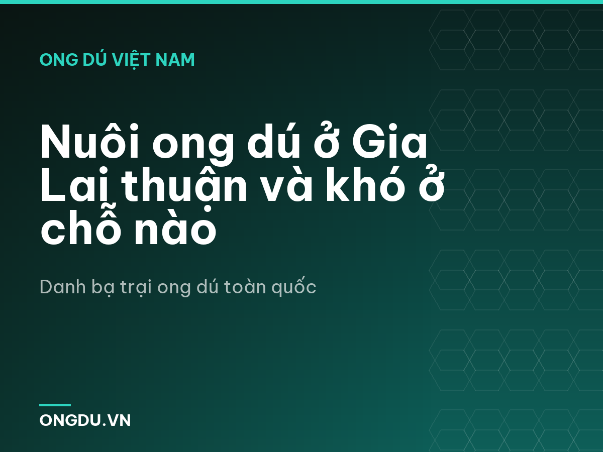 Nuôi ong dú ở Gia Lai thuận và khó ở chỗ nào