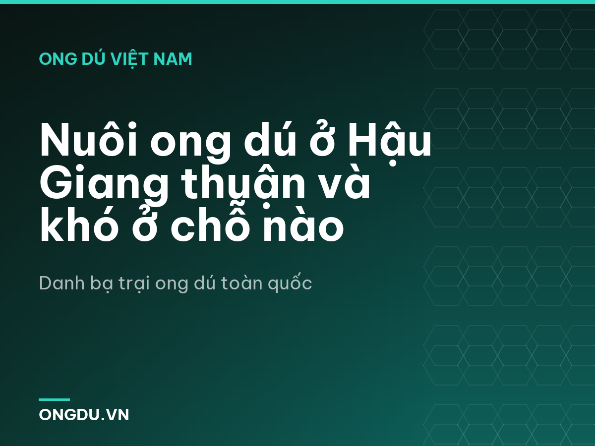 Nuôi ong dú ở Hậu Giang thuận và khó ở chỗ nào