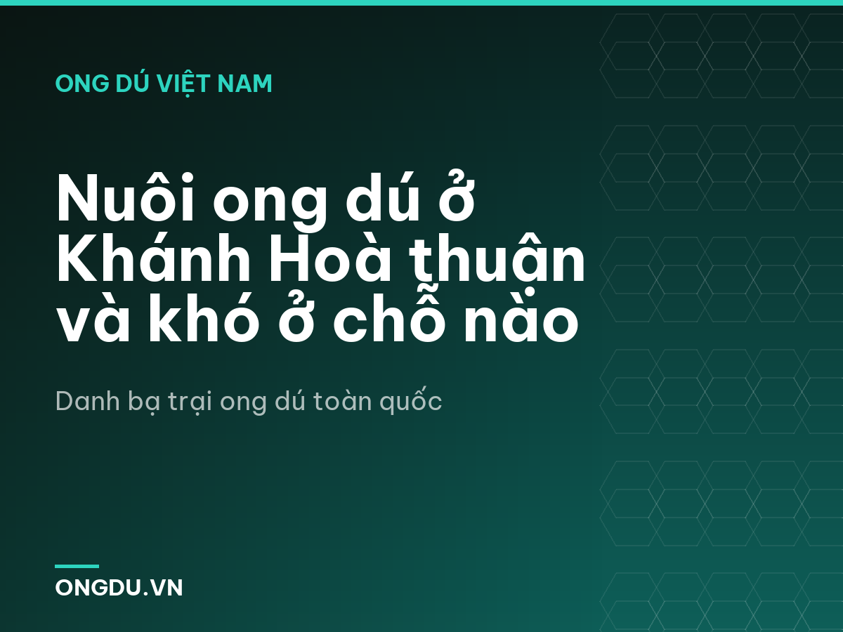 Nuôi ong dú ở Khánh Hoà thuận và khó ở chỗ nào