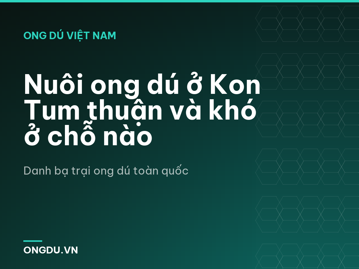 Nuôi ong dú ở Kon Tum thuận và khó ở chỗ nào
