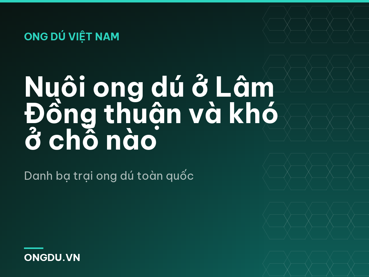 Nuôi ong dú ở Lâm Đồng thuận và khó ở chỗ nào