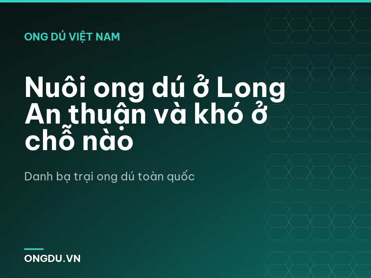 Nuôi ong dú ở Long An thuận và khó ở chỗ nào