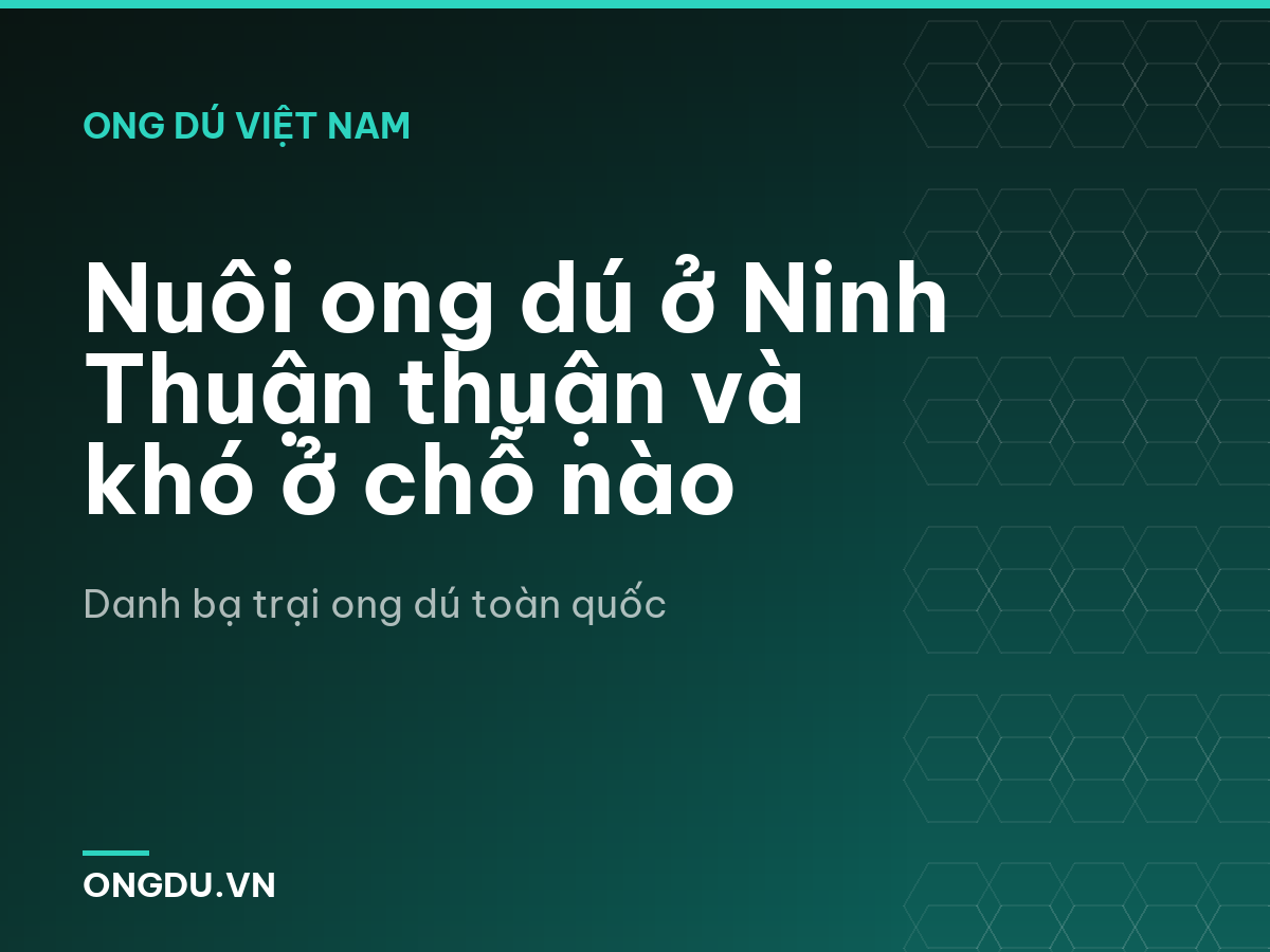 Nuôi ong dú ở Ninh Thuận thuận và khó ở chỗ nào