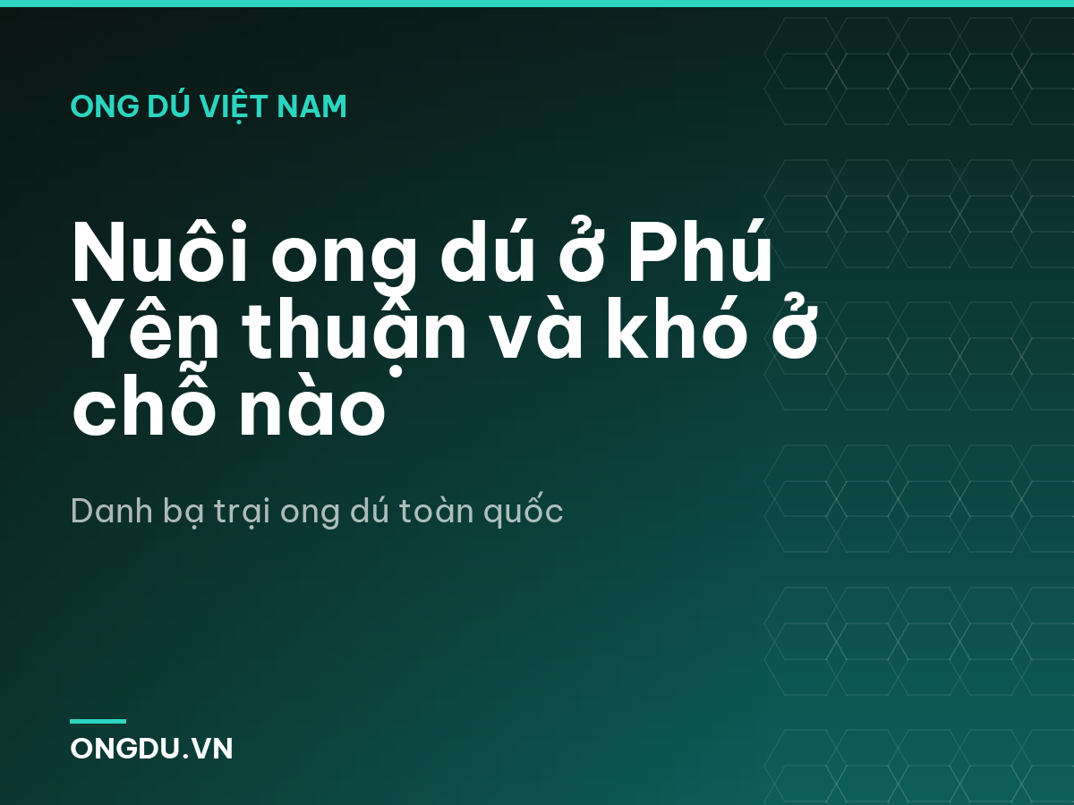 Nuôi ong dú ở Phú Yên thuận và khó ở chỗ nào