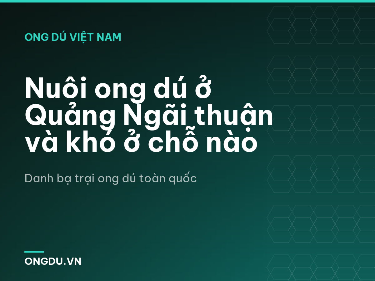Nuôi ong dú ở Quảng Ngãi thuận và khó ở chỗ nào