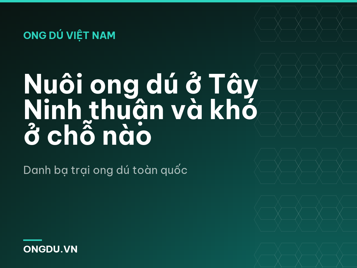 Nuôi ong dú ở Tây Ninh thuận và khó ở chỗ nào