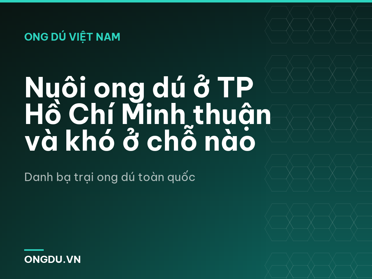 Nuôi ong dú ở TP Hồ Chí Minh thuận và khó ở chỗ nào