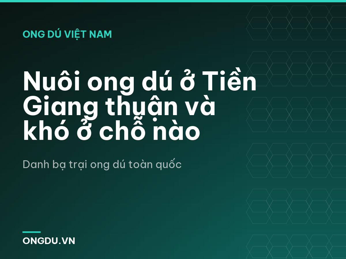 Nuôi ong dú ở Tiền Giang thuận và khó ở chỗ nào