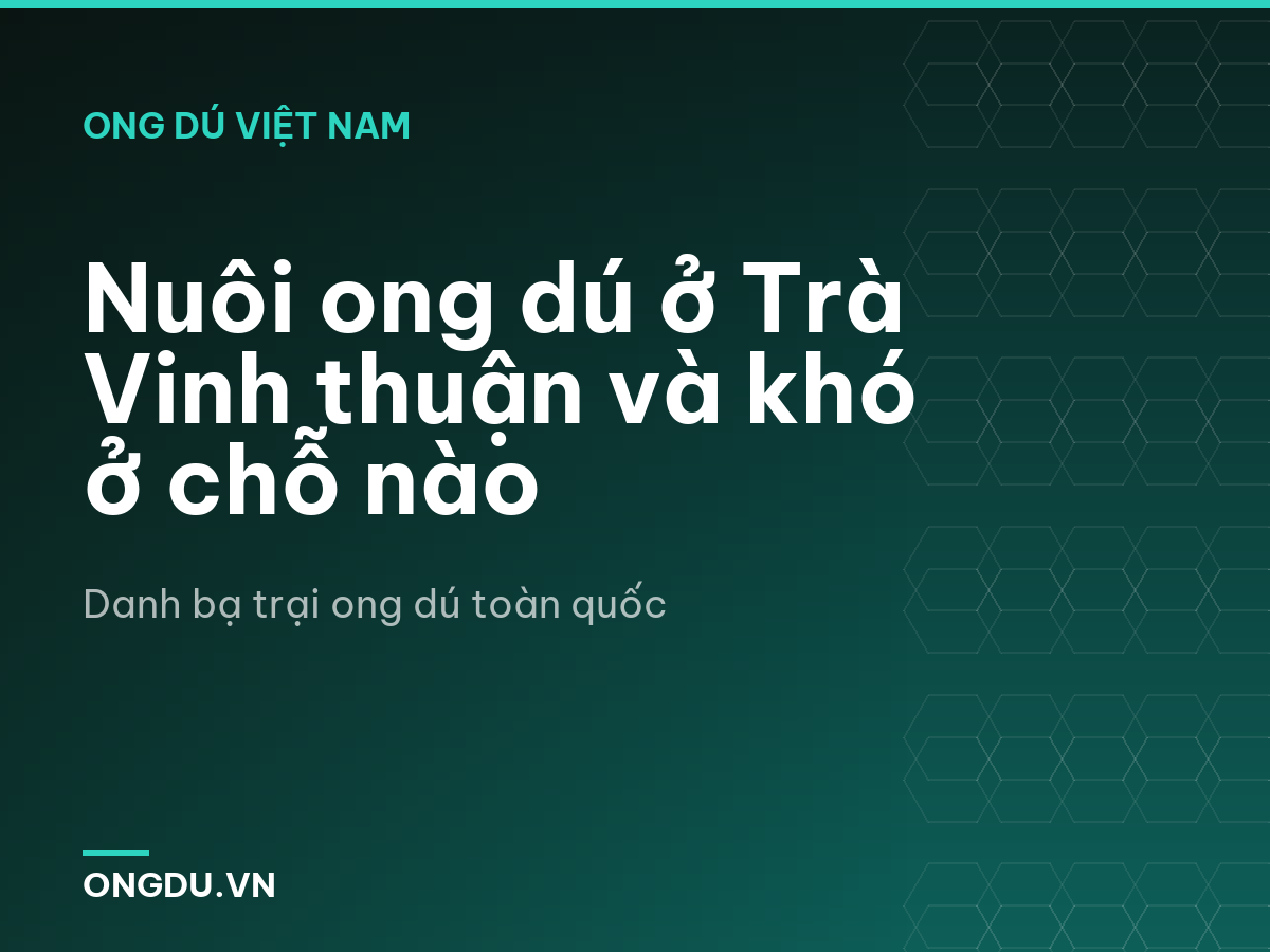 Nuôi ong dú ở Trà Vinh thuận và khó ở chỗ nào