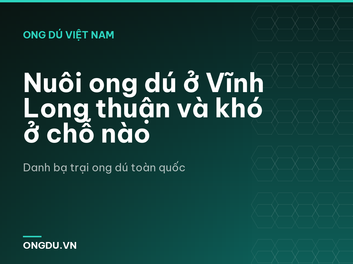 Nuôi ong dú ở Vĩnh Long thuận và khó ở chỗ nào