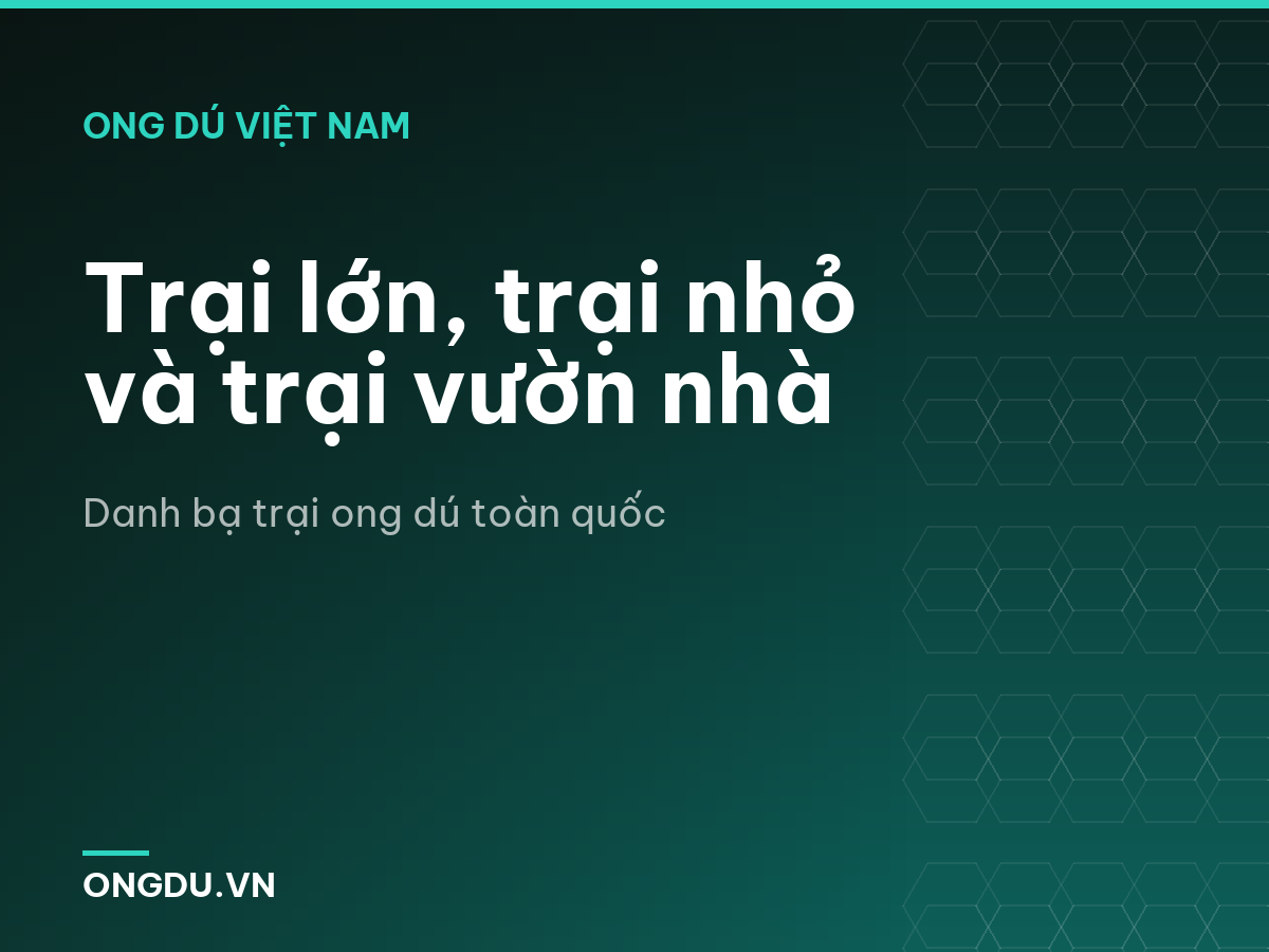 Trại lớn, trại nhỏ và trại vườn nhà
