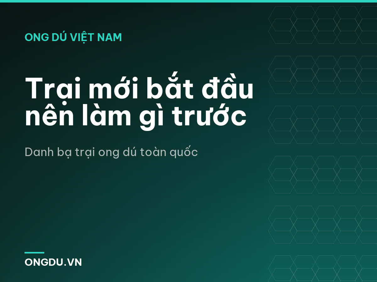 Trại mới bắt đầu nên làm gì trước