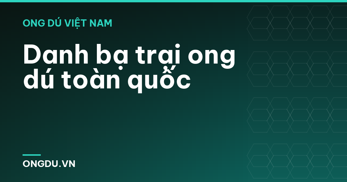 Bộ công cụ Ong Dú