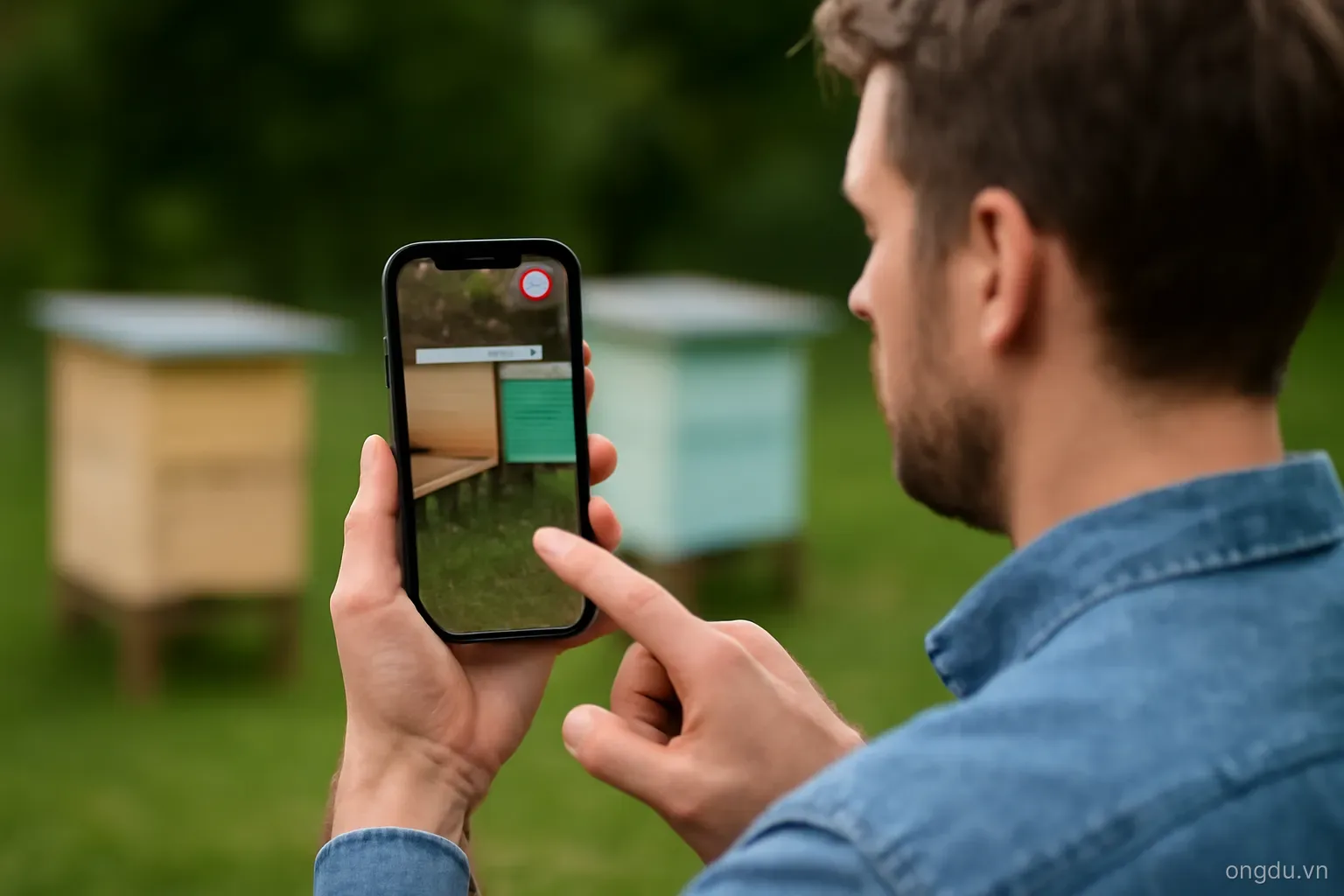 Kiểm tra tổ ong dú qua video call: cách đánh giá từ xa trước khi đặt hàng